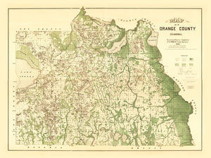 Vintage Map of Orange County, Florida 1890