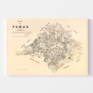Vintage Map of Comal County, Texas 1879