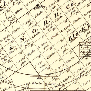 Vintage Map of Dimmit County, Texas 1879