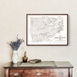 Vintage Map of Eastland County, Texas 1879