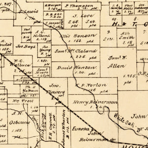 Vintage Map of Harris County, Texas 1879