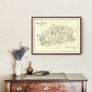 Vintage Map of Madison County, Texas 1879