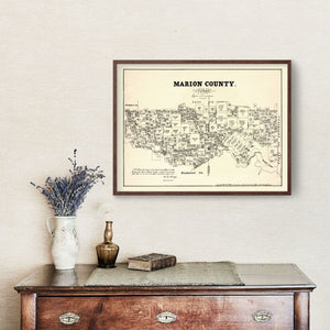 Vintage Map of Marion County, Texas 1879