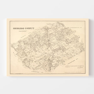 Vintage Map of Navarro County, Texas 1880