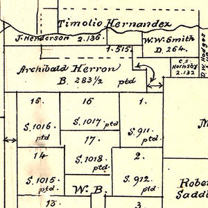 Vintage Map of San Patricio County, Texas 1879