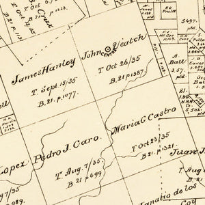 Vintage Map of Trinity County, Texas 1879