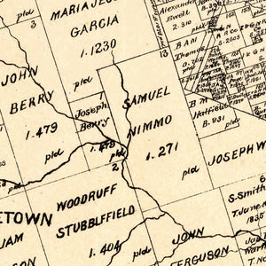 Vintage Map of Williamson County, Texas 1880