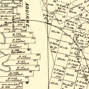 Vintage Map of Zavalla County, Texas 1879