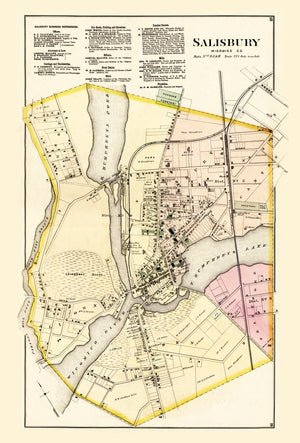 Vintage Map of Wicomico County, Maryland 1877