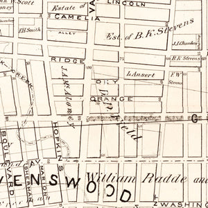 Vintage Map of Queens County, New York 1874