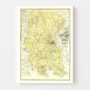 Vintage Map of Chatham County, Georgia 1875
