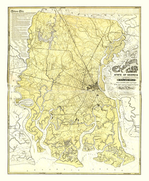 Vintage Map of Chatham County, Georgia 1875