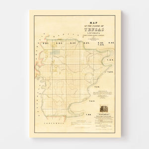 Vintage Map of Tensas Parish, Louisiana 1860