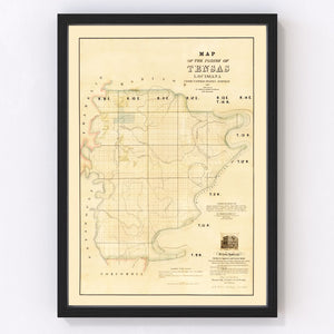 Vintage Map of Tensas Parish, Louisiana 1860