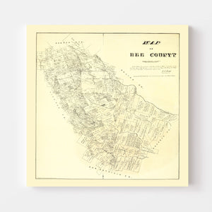 Vintage Map of Bee County, Texas 1879
