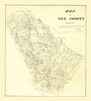 Vintage Map of Bee County, Texas 1879
