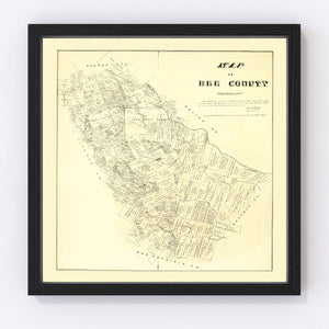 Vintage Map of Bee County, Texas 1879