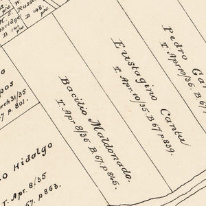 Vintage Map of Calhoun County, Texas 1879