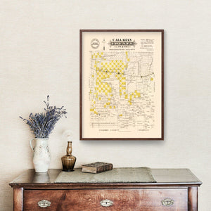 Vintage Map of Callahan County, Texas 1870