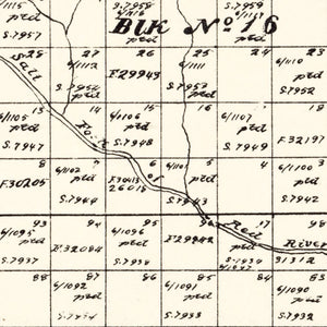 Vintage Map of Collingsworth County, Texas 1892