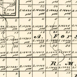 Vintage Map of Cottle County, Texas 1891