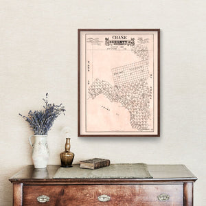 Vintage Map of Crane County, Texas 1888