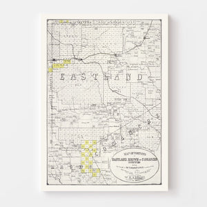 Vintage Map of Eastland County, Texas 1890
