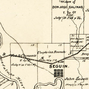 Vintage Map of Guadalupe County, Texas 1880