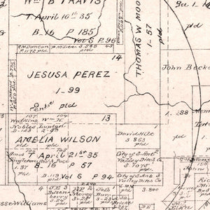 Vintage Map of Hays County, Texas 1880