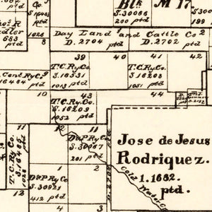 Vintage Map of Hutchinson County, Texas 1891