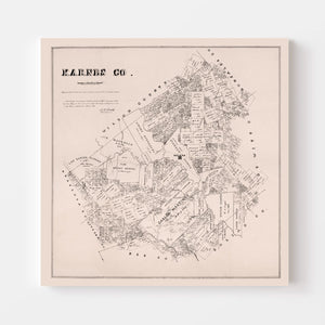 Vintage Map of Karnes County, Texas 1880