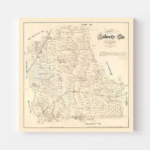 Vintage Map of Liberty County, Texas 1879