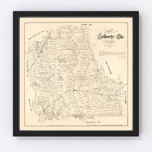 Vintage Map of Liberty County, Texas 1879