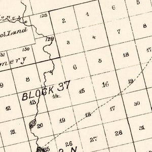 Vintage Map of Martin County, Texas 1894