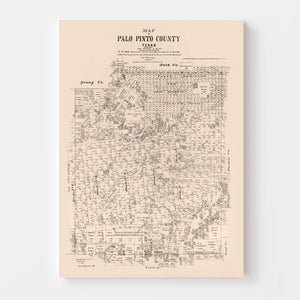 Vintage Map of Palo Pinto County, Texas 1879