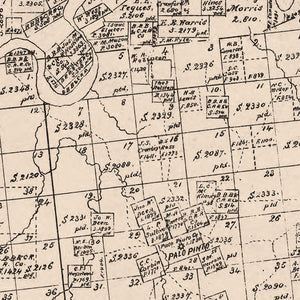 Vintage Map of Palo Pinto County, Texas 1879