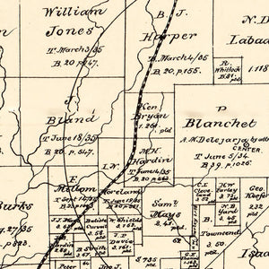 Vintage Map of Polk County, Texas 1879