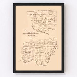 Vintage Map of Presidio County, Texas 1891