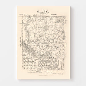 Vintage Map of Runnels County, Texas 1879