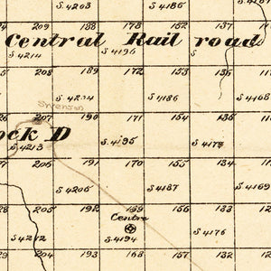 Vintage Map of Stonewall County, Texas 1880