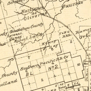 Vintage Map of Taylor County, Texas 1890