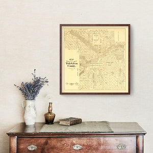 Vintage Map of Tom Green County, Texas 1893