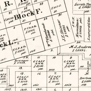 Vintage Map of Tom Green County, Texas 1894