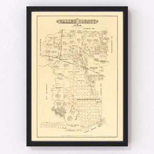 Vintage Map of Waller County, Texas 1879