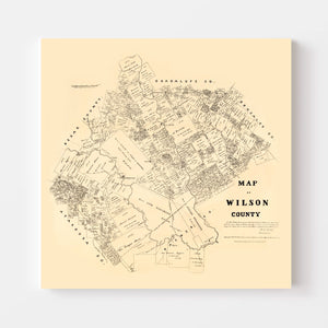 Vintage Map of Wilson County, Texas 1879
