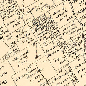 Vintage Map of Wilson County, Texas 1879