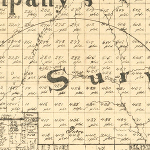 Vintage Map of Young County, Texas 1879