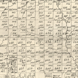 Vintage Map of Young County, Texas 1898