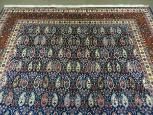 6' X 9' Vintage Fine Handmade India Paisley Rug Hand Knotted Carpet Organic Dye