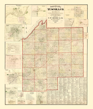 Vintage Map of Tuscola County, Michigan 1875